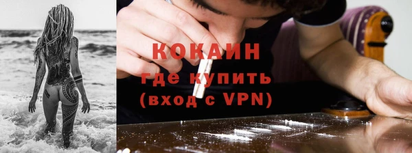 дживик Богданович