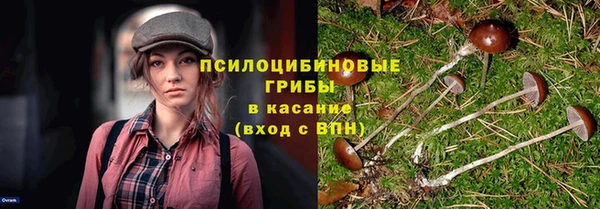 эйфоретик Богородицк