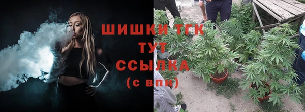 дживик Богданович