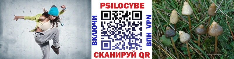 Псилоцибиновые грибы прущие грибы  Белоярский 